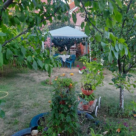 Apartman Drina Berilovac Dış mekan fotoğraf