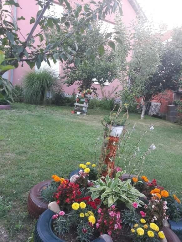 Apartman Drina Berilovac Dış mekan fotoğraf