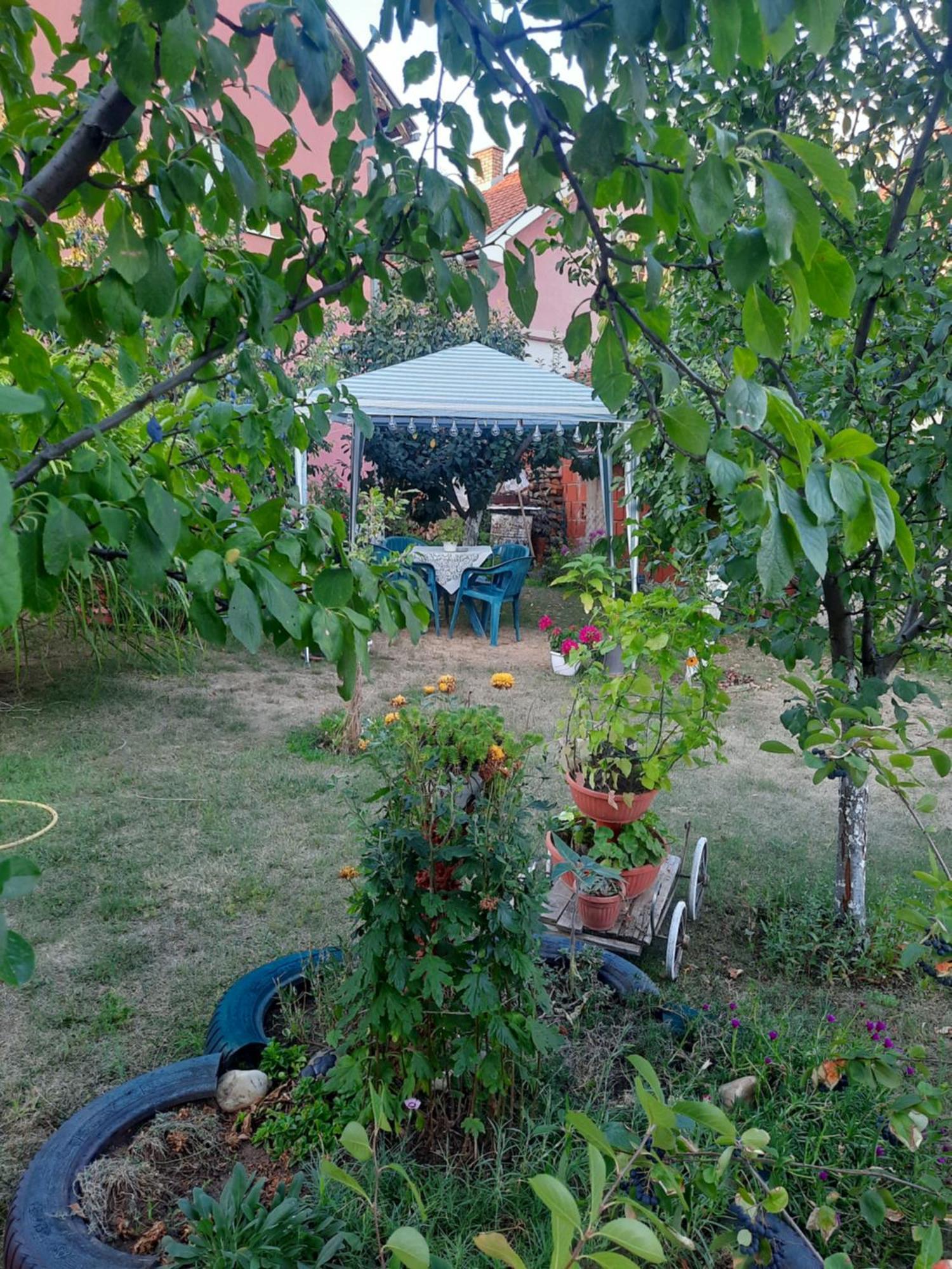 Apartman Drina Berilovac Dış mekan fotoğraf
